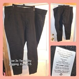 Terra & Sky Black Jeggings